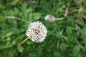 つむじハゲの悩みを持つ方へ、医師からの最新コメントとは？