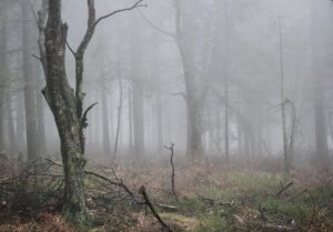 つむじハゲにおけるメントールの最新効果とは？