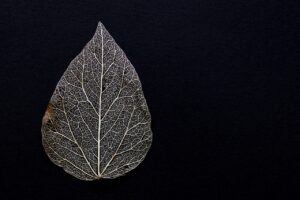 つむじハゲに悩む方必見！前髪の最新アレンジ方法は？