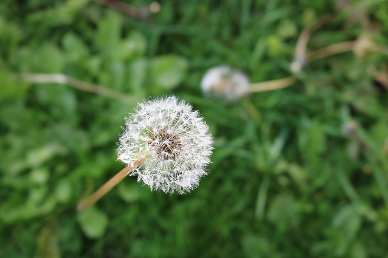 つむじハゲの植毛に関する最新事例とは？