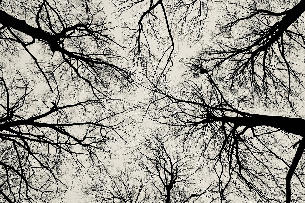 つむじハゲに悩むあなたが知っておくべき自律神経の最新対策は？