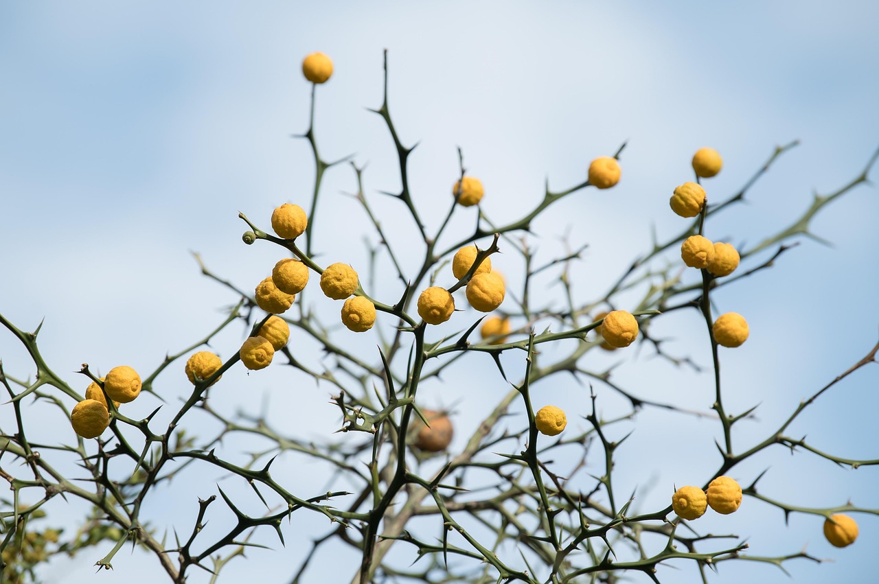つむじハゲの乾燥に効果的な最新対策は？