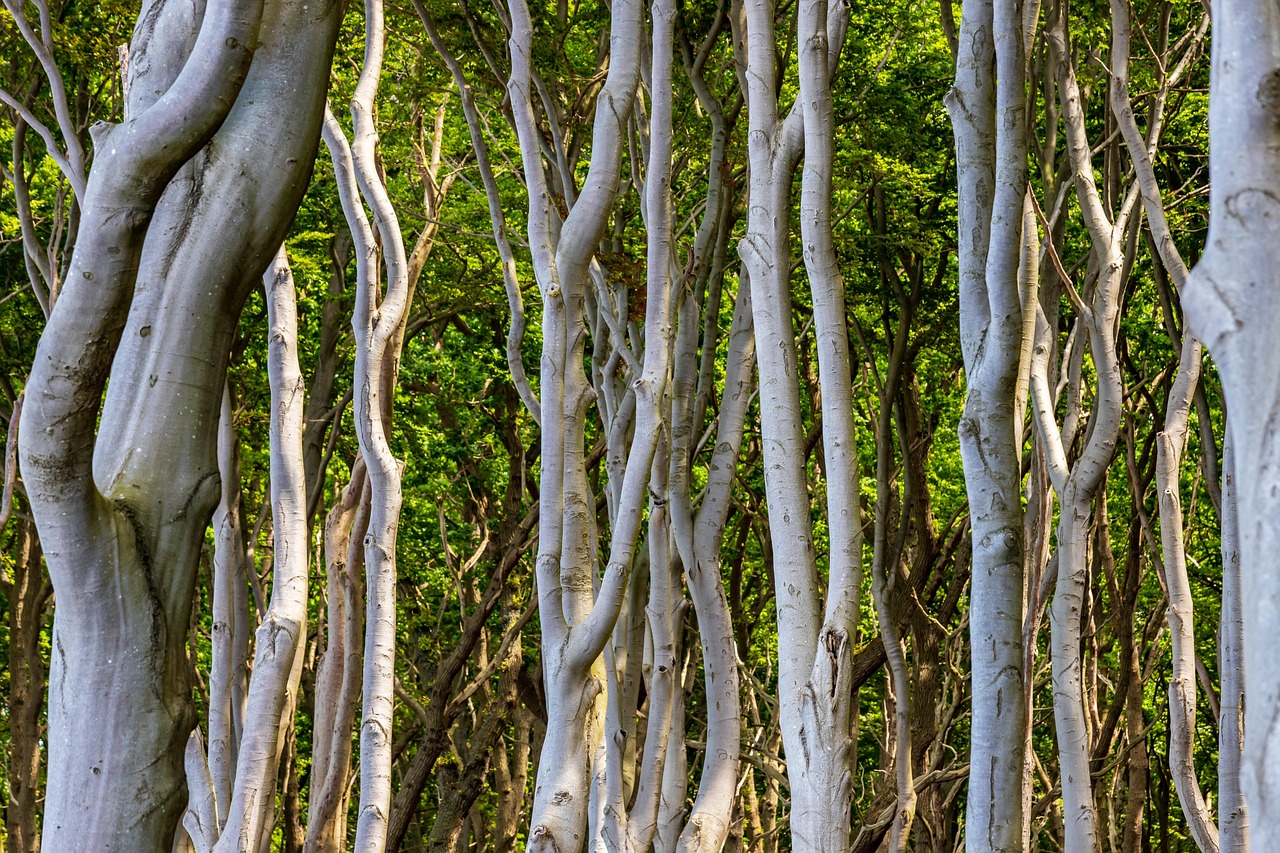 つむじハゲに対する幹細胞治療の効果はどのくらい？