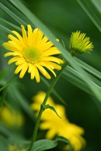 つむじ薄毛におすすめの人気髪型は？