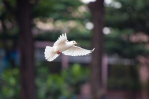 つむじ薄毛に悩む方におすすめのリアップの効果とは？