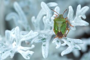 つむじ薄毛に最適な髪型の評判はどうなっているの？