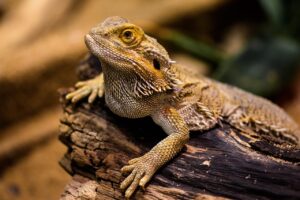 つむじ薄毛を隠すための方法を比較すると何が良い？