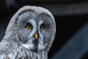 つむじ薄毛の原因と部分ウィッグでの対策方法は？