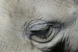 つむじ薄毛の原因と頭皮の毛穴ケア方法は？