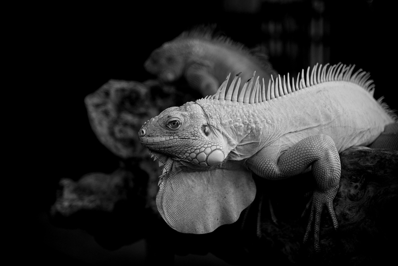 つむじ薄毛改善に効果的なマッサージの成分とは？